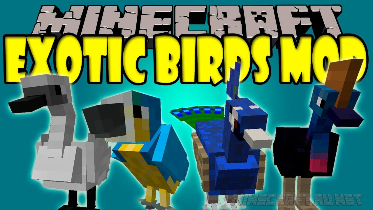 Майнкрафт Exotic Birds